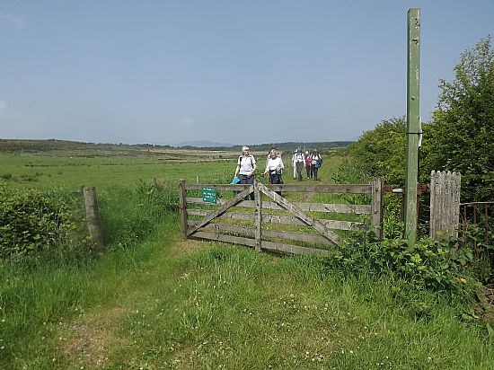 Bute country pathways