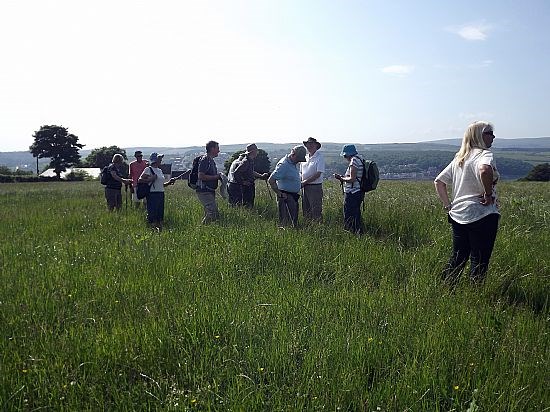 Canada Hill Walk