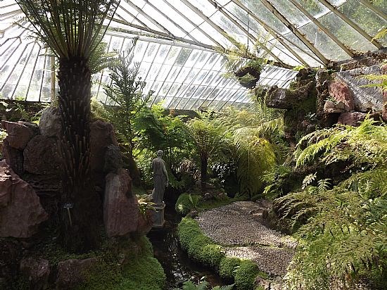Inside Fernery