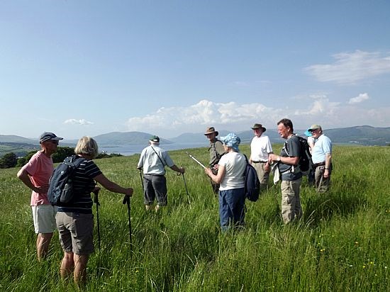 Down from Canada Hill