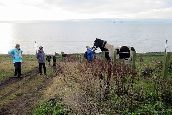 What is it about Ramblers and ponies?