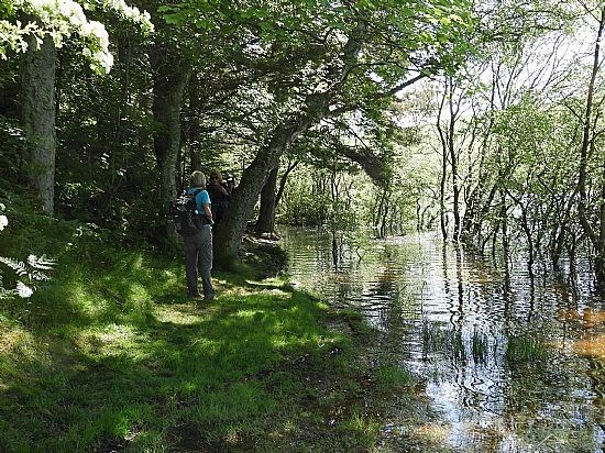 Cauldshiels Loch path