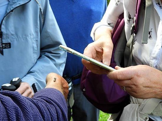 Debate over caterpillar