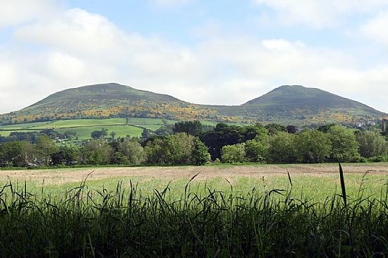 Eildon Hills 2