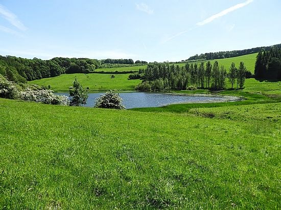 Lunch stop at Faldonside Loch