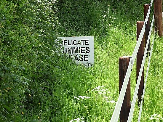 Not for ramblers, but horses