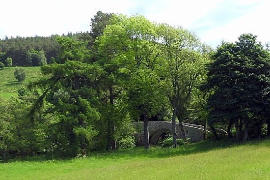 Old Manor Brig near Peebles