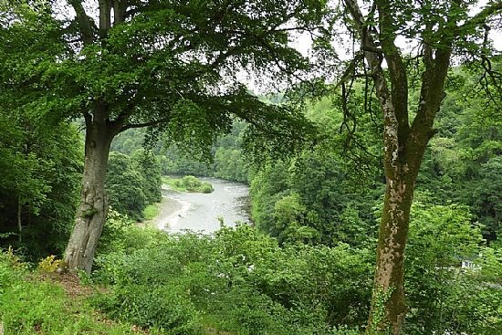 Old Melrose Estate with Tweed view