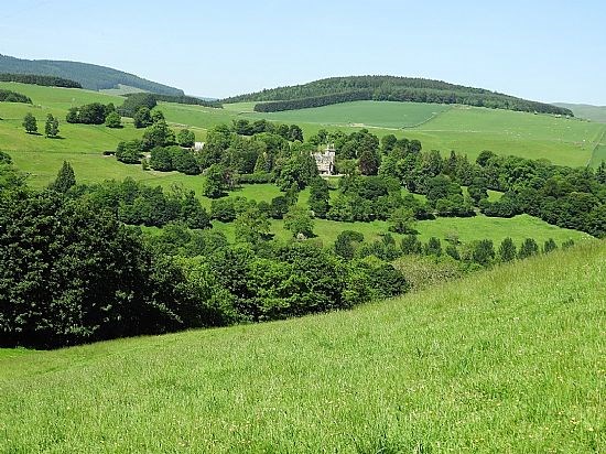 On Cauldshiels walk