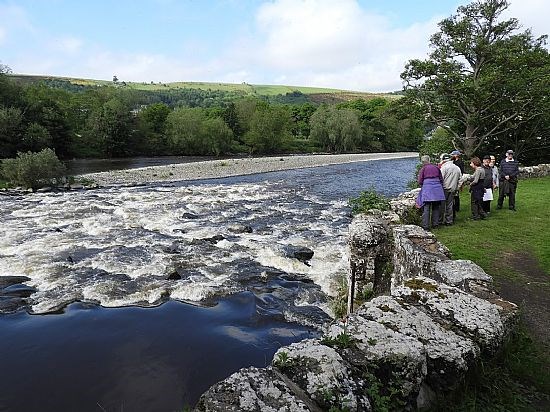 Taster walk