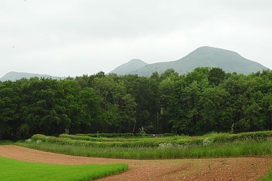 The 3 Eildon Hills