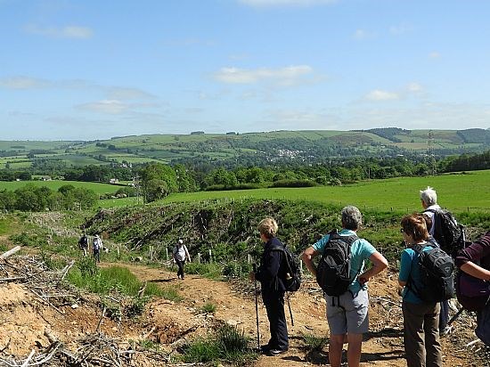 Top of the hill, Melrose Longer walk