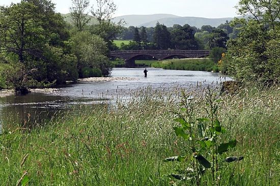 Tweed view near Peebles