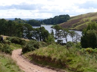 Pentlands 6
