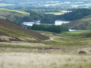 Pentlands 8