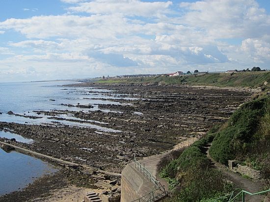Coastal Path Scenery