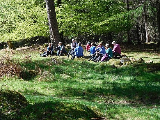 Dunkeld Figure of 8