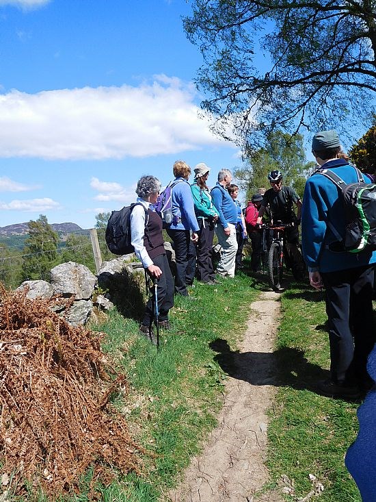 Dunkeld Figure of 8