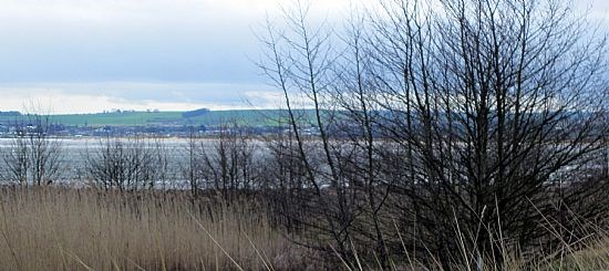 Leuchars-Tentsmuir Circular