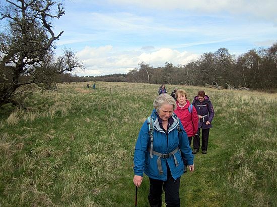 Leuchars-Tentsmuir Circular