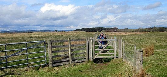 Leuchars-Tentsmuir Circular