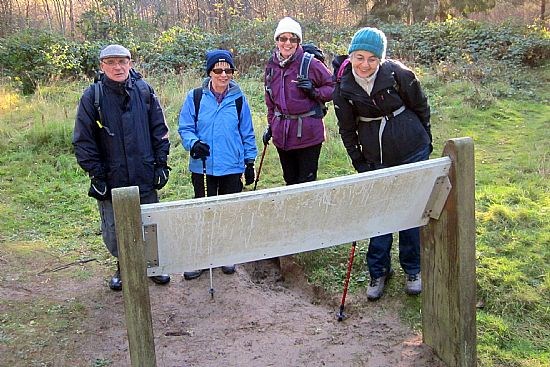 Rambler Study Group