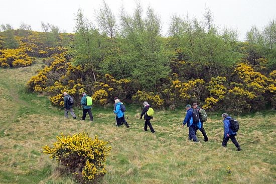 On and Upwards on Hill of Alyth