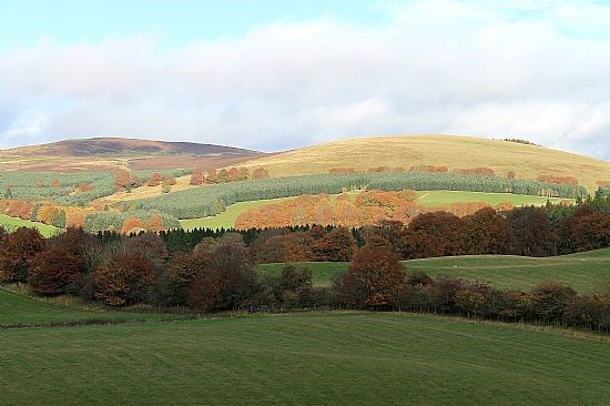 Den of Alyth Walk - Lunchtime view 