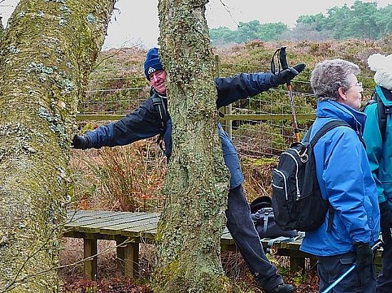 I once caught a tree this big