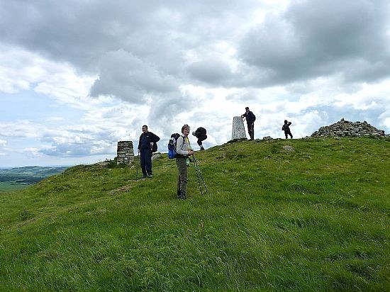 Norman's Law: At the top