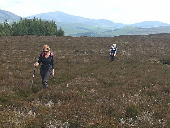 Glen Derby Walk