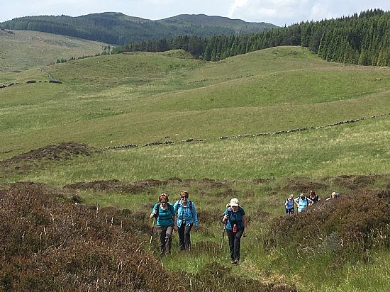 Glen Derby Walk