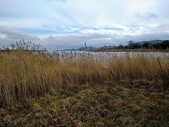 Elcho walk