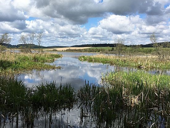 Kirriemuir Walk