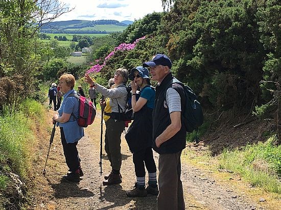 Norman's Law Walk