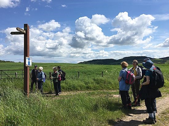 Norman's Law Walk