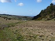 Braes of the Carse: View north