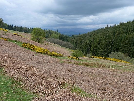 View from Cloan Glen to north