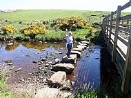 Stepping Stones Complete