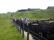Wall Path very changeable