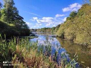 Bertha Loch looking west