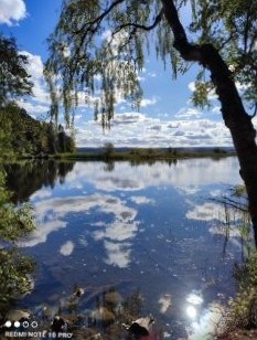 Bertha Loch through the trees