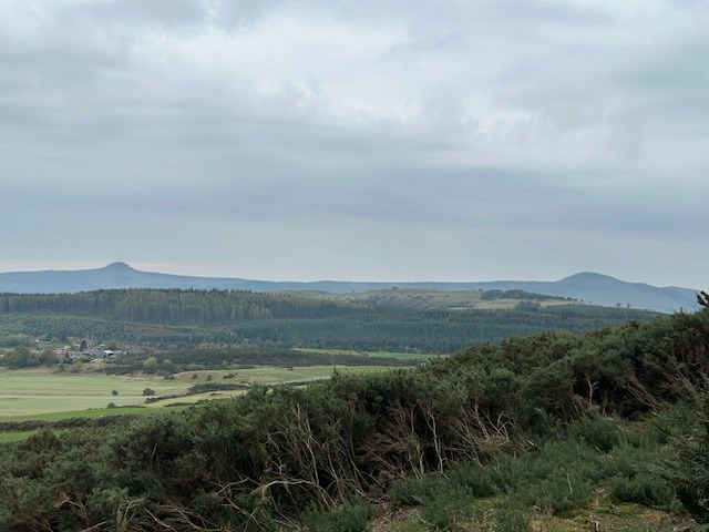 View to the Lomonds