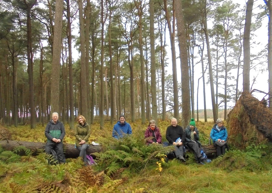 Drinks stop all on one log