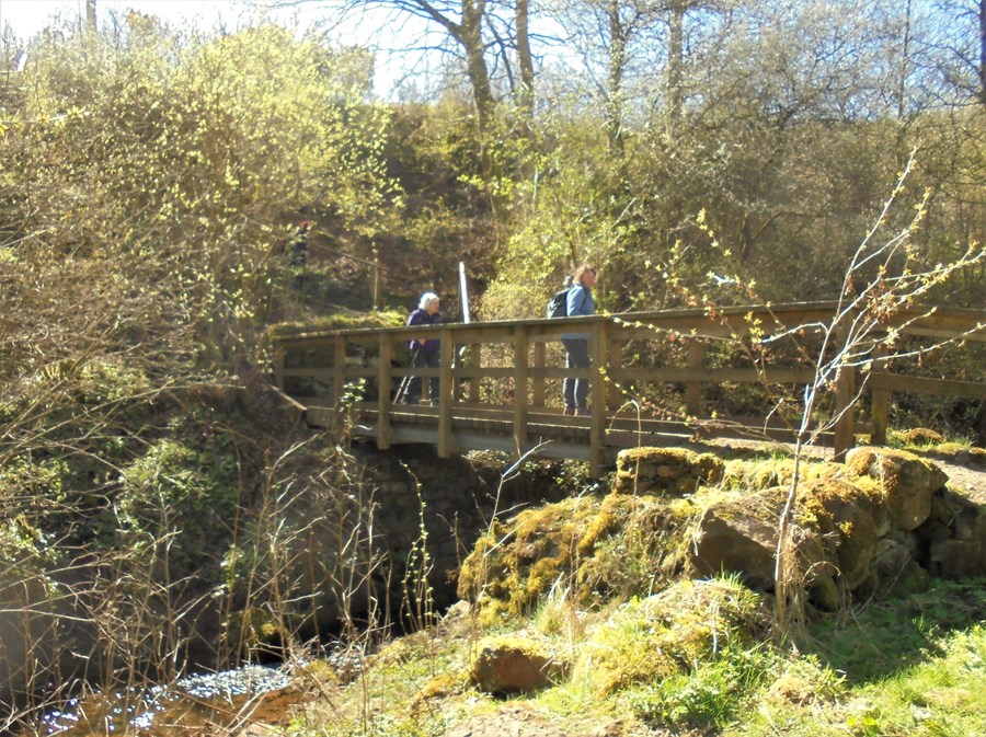 Crossing Conland Burn