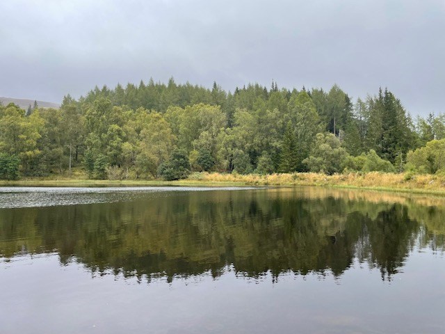 Mill Dam 2