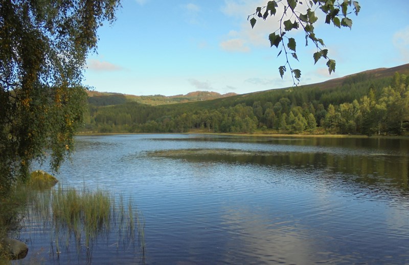 Mill Dam
