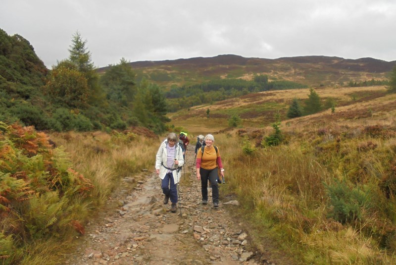 Up towards the viewpoint