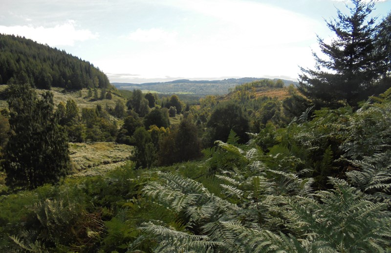 View from path towards Mill Dam