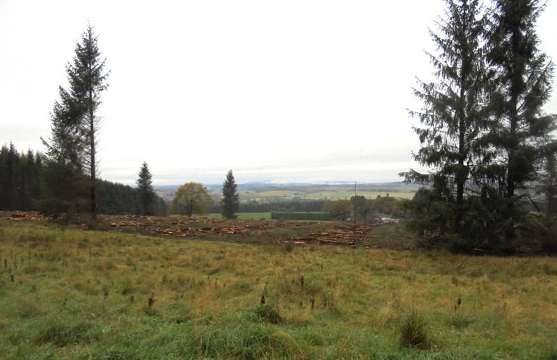 View north now available after logging operations